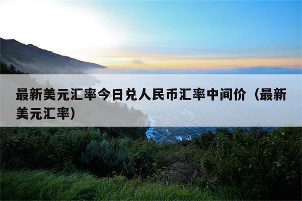 美元人民币中间价外汇(美元兑人民币中间价 外汇管理局)