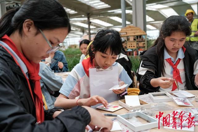 蒙草生态最新消息(蒙草生态最新消息股票)